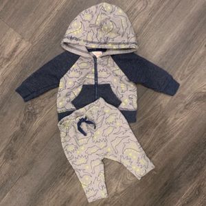 Baby Zip Up Hoodie and Pants Set